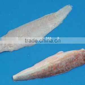 Red Gurnard With Frozen thumbnail-2