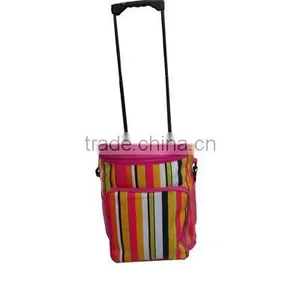 Hot Selling Cooler Bag thumbnail-1