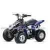 Mini ATV thumbnail-1