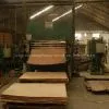 Sell Plywood thumbnail-1