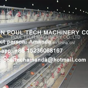Tanzania Poultry Farm Hot Galvanized Cage & A Type Battery Cage Layer Breeding Chicken Cage & Coop for Poultry Farm thumbnail-4