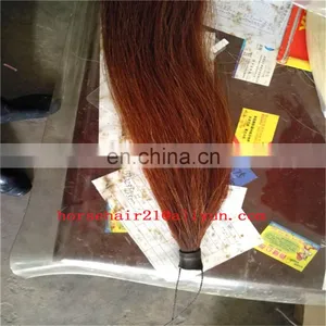Washed Horse Tail Hair thumbnail-6