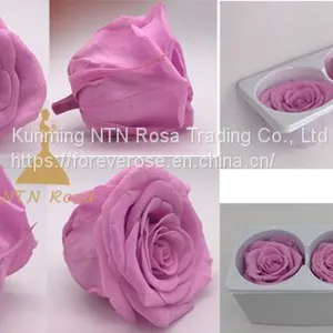 Preserved Rose Heads Look Like Artificial Flowers? It′s 100% Real! thumbnail-2