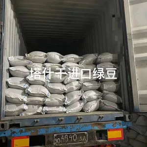 Tashkent to Zhengzhou/Luoyang /Yiwu/ Hefei 40 HQ , Import Cargo thumbnail-2