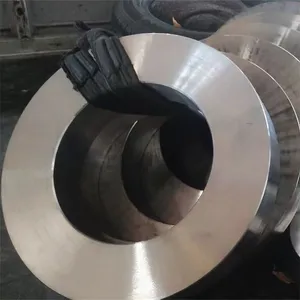 High Precision Industrial Stainless Steel and Other High Alloy Steel Forgings thumbnail-1