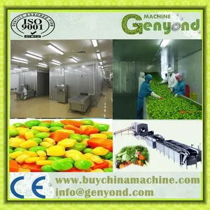 Instant Freezer/meat/food Freezing Machine 500kg/h thumbnail-5