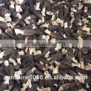 Dried Morel Morchella Mushroom From Yunnan thumbnail-3