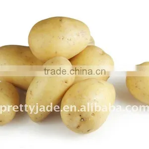 2014 Fresh Potato thumbnail-1