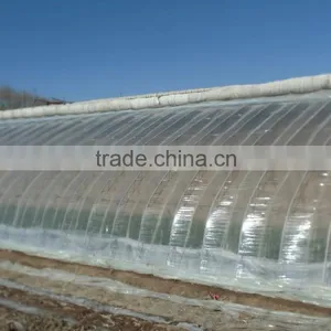 High Quality Plastic Greenhouse Film With Different Specification thumbnail-1