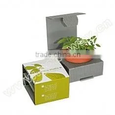 Tin Pet Tree,baby Flower,pet Plant thumbnail-1