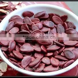Roasted Watermelon Seed thumbnail-1