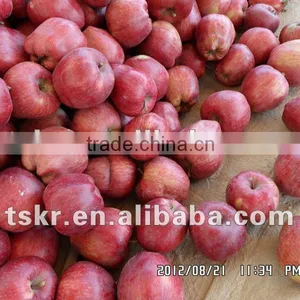 Wholesale Prices Apple Fruit thumbnail-1