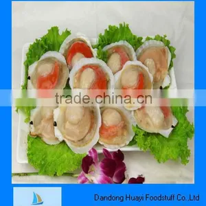 Frozen Half Shell Sea Scallop thumbnail-1