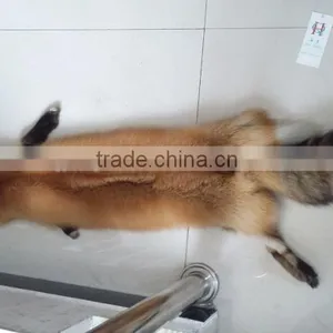 Real Silver Fur Skin / Natural Fox Fur Skin / Tanned Red Fox Fur Skin For Coat Quality Choice thumbnail-5