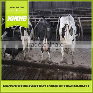 Farm Cattle Cow Free Stall Cattle Cubicles thumbnail-1