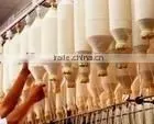 100% Raw White Spun Polyester Yarn 30s/1 thumbnail-3