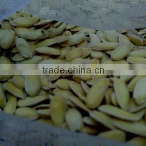 GWS Snow White Pumpkin Seeds Shine Skin Pumpkin Seeds Best Pumpkin Seeds Recipe thumbnail-2