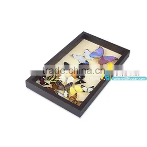 FOUSEN(042) Nature& Art Natural Home Decoration Supplier Home Beauty thumbnail-1