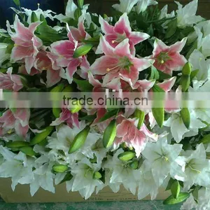 Imitation Lily Flower thumbnail-1
