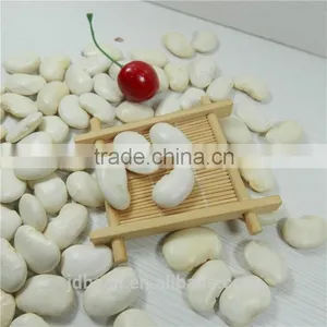 White Kidney Bean thumbnail-5