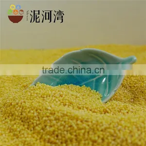 Organic Yellow Millet Bulk and Vacuum Packing Export Grade 2016 Crop thumbnail-6