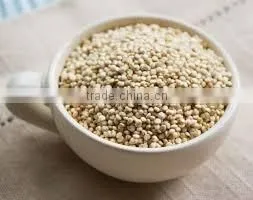 BULK QUINOA thumbnail-1