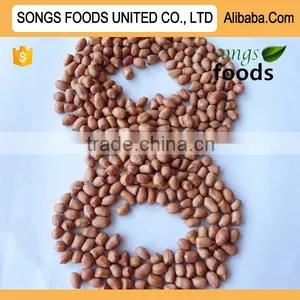 Raw Peanut Best Quality For Sale thumbnail-1