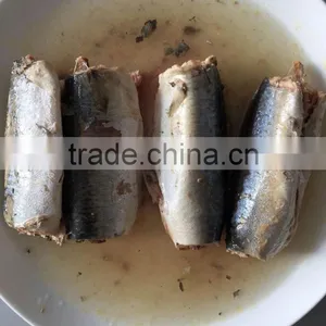 Wholesale Canned Sardine in Oil Lowest Price thumbnail-3