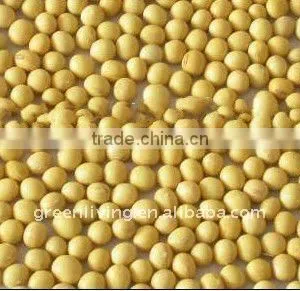 High Protein Yellow Bean--Soya Bean thumbnail-1