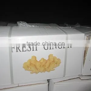2016 Competitive Price Mesh Bag Ginger thumbnail-5