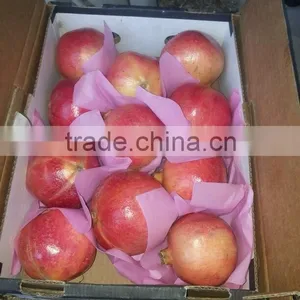 Common Cultivation Type of Pomegranate thumbnail-1