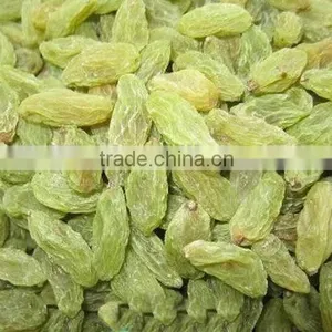 High Quality Green Raisin From China thumbnail-1
