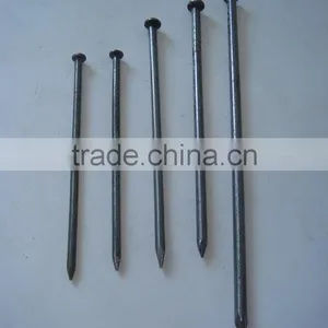 Common Nail thumbnail-1