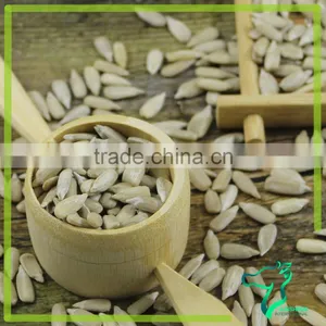 High Grade 2016 Sunflower Seeds Kernel On Sale thumbnail-2
