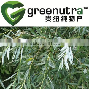 White Willow Bark Extract Powder thumbnail-1