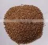 Exports a Large Quantity of Nutshell Filter thumbnail-1
