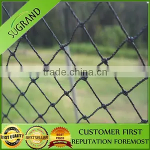 Agriculture Plastic Bird Net Orchard Bird Netting thumbnail-3