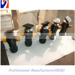 Popular Professional Hydraulic Cylinder Piston Small thumbnail-5