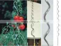 Tomato Spirals Wire(factory and Exporter ) thumbnail-1