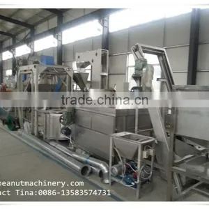 Frying Peanut Production Line thumbnail-1
