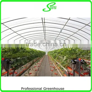 Construction of a Low Cost Greenhouse thumbnail-1