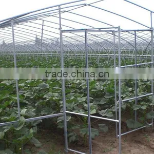 China Supplier Tunnel Greenhouse for Fruit thumbnail-1