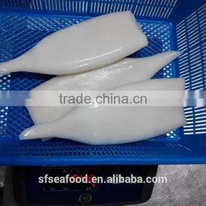 Squid Tube of Argentina Illex Squid thumbnail-3
