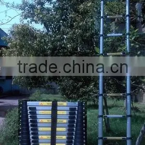 Telescopic Ladder thumbnail-1