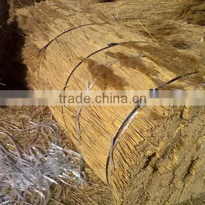 Reed Natural Bundles for Thatching thumbnail-1