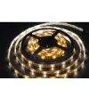 Gel Waterproof 5050 Led Strip thumbnail-1