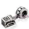 Hot Fashion European Style Beads-