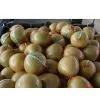 Pomelo thumbnail-1