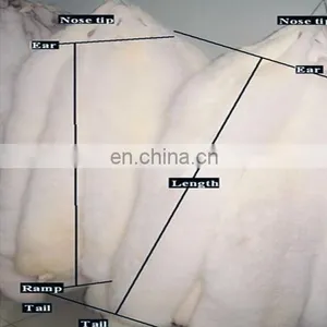 Soft and Smooth High Quality White Fox Fur Skin/white Fox Fur Raw Skins thumbnail-1
