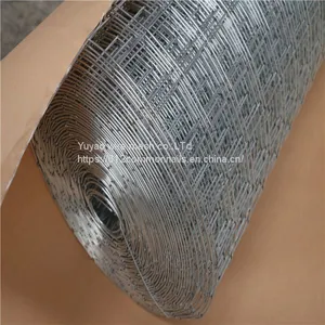 Hot Dipped Galvanized Welded Wire Mesh From Anping thumbnail-5